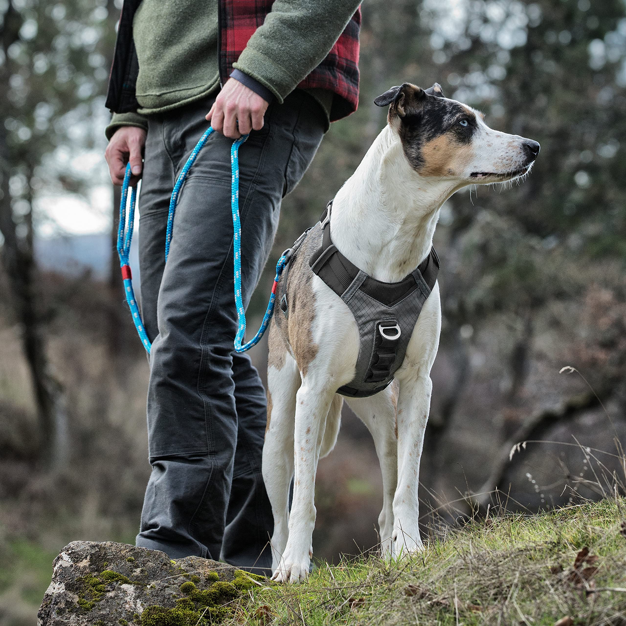 Kurgo Journey Air harnais chien, poignée arrière pour aide et contrôle
