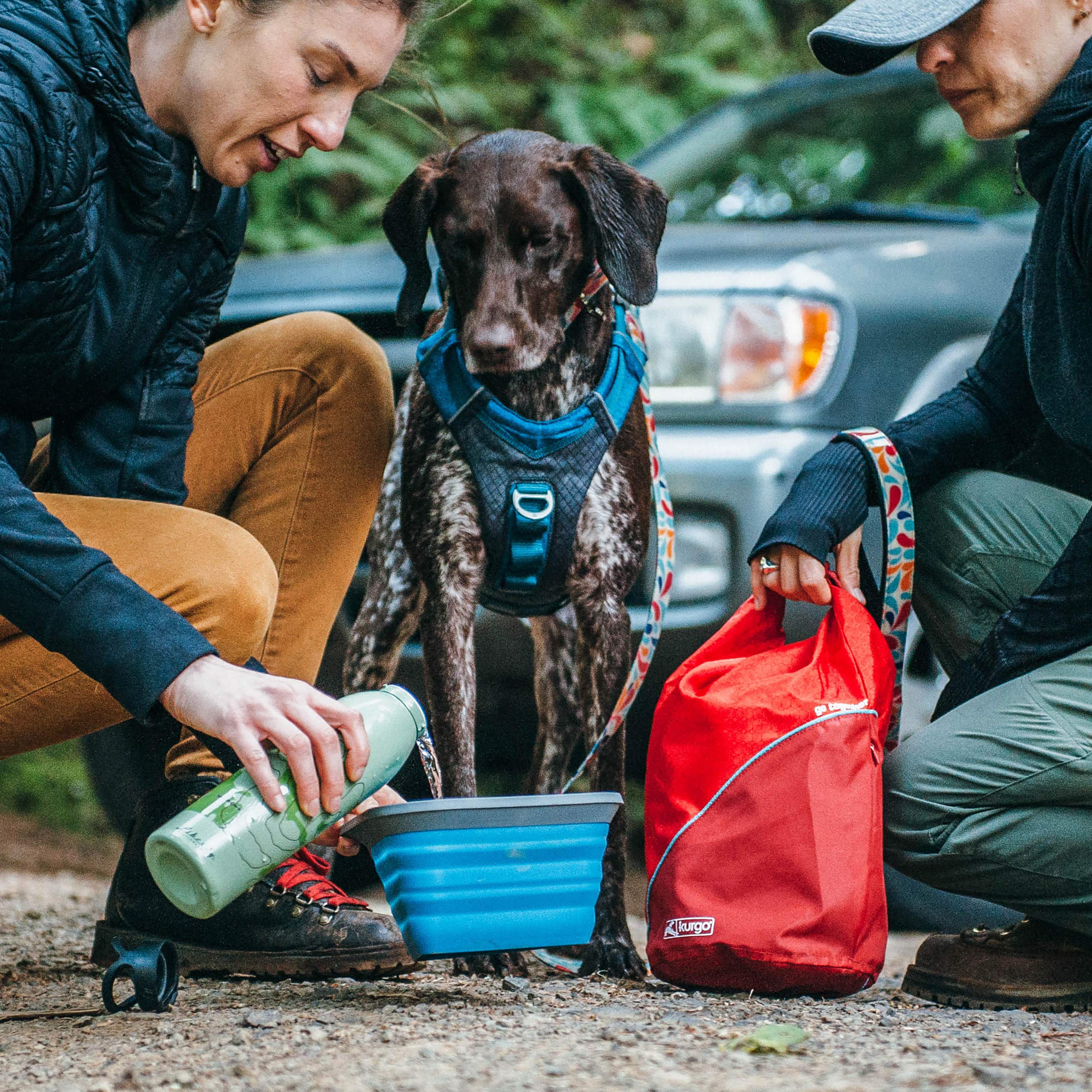 Kurgo Kibble Carrier – capacité jusqu’à 5 lb de croquettes
