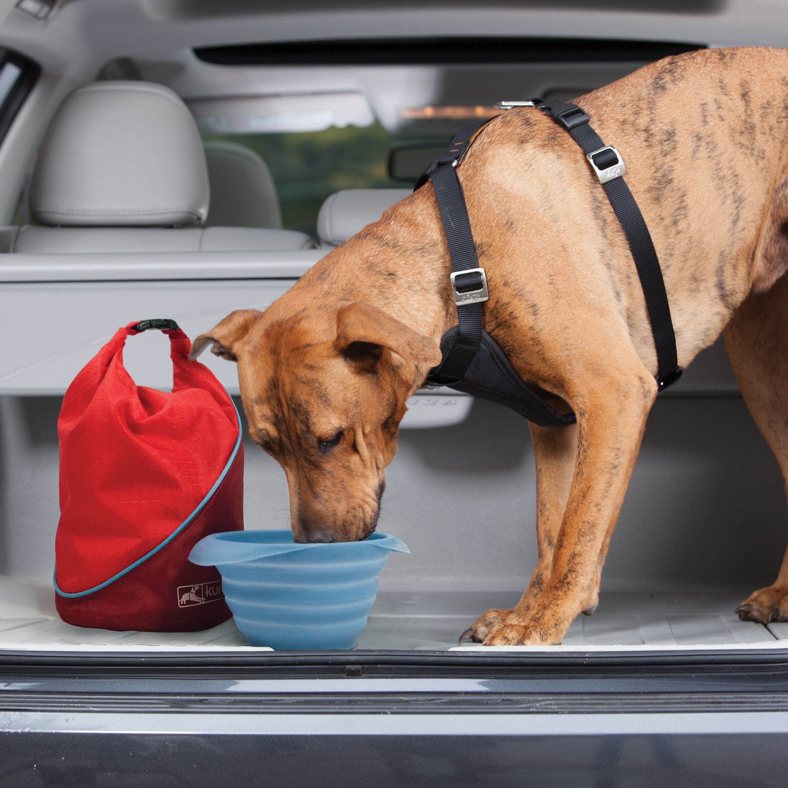 Kurgo Kibble Carrier – transport pratique et hygiénique lors d’activités avec chien