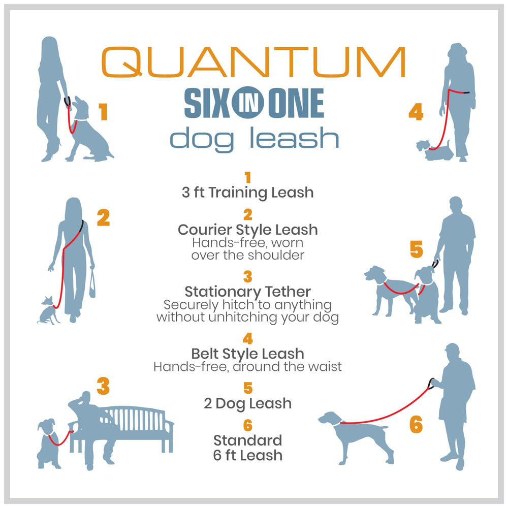 Kurgo Quantum, double promeneur pour deux chiens en marche.
