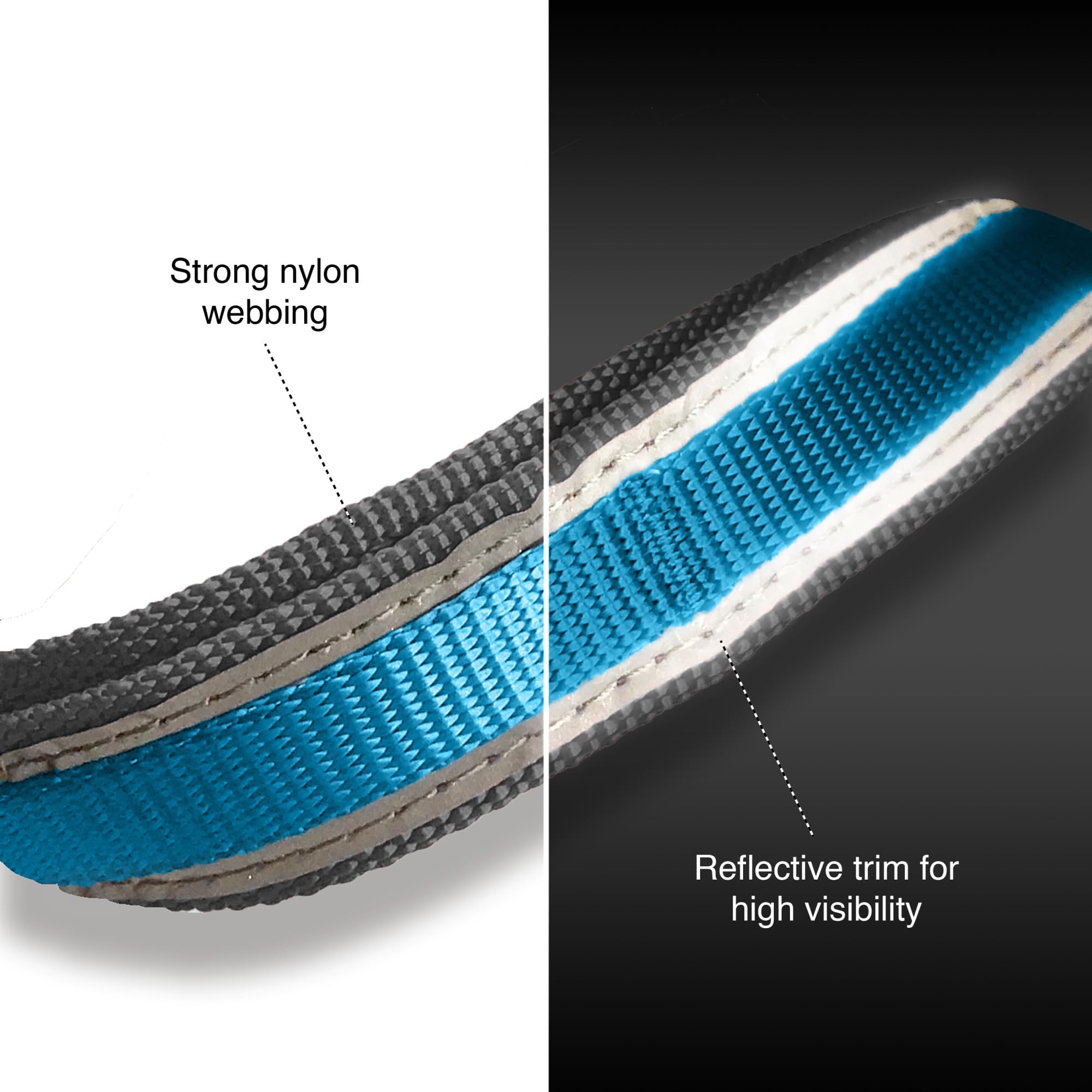 Kurgo Quantum, longe d'entraînement 3 pieds pour l'obéissance.