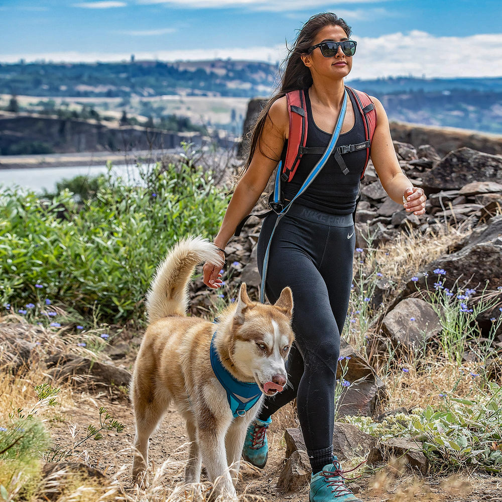 Kurgo Quantum longueur réglable de 48 à 72 pouces pour chien.