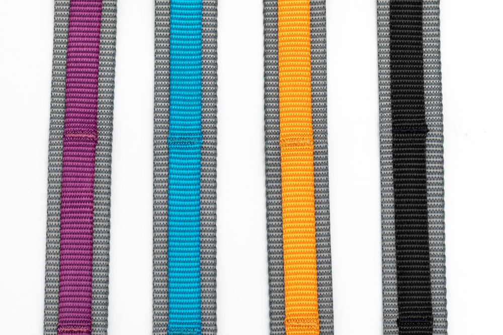 Kurgo Quantum, Web Keeper avec bungee flexible et absorption léger.