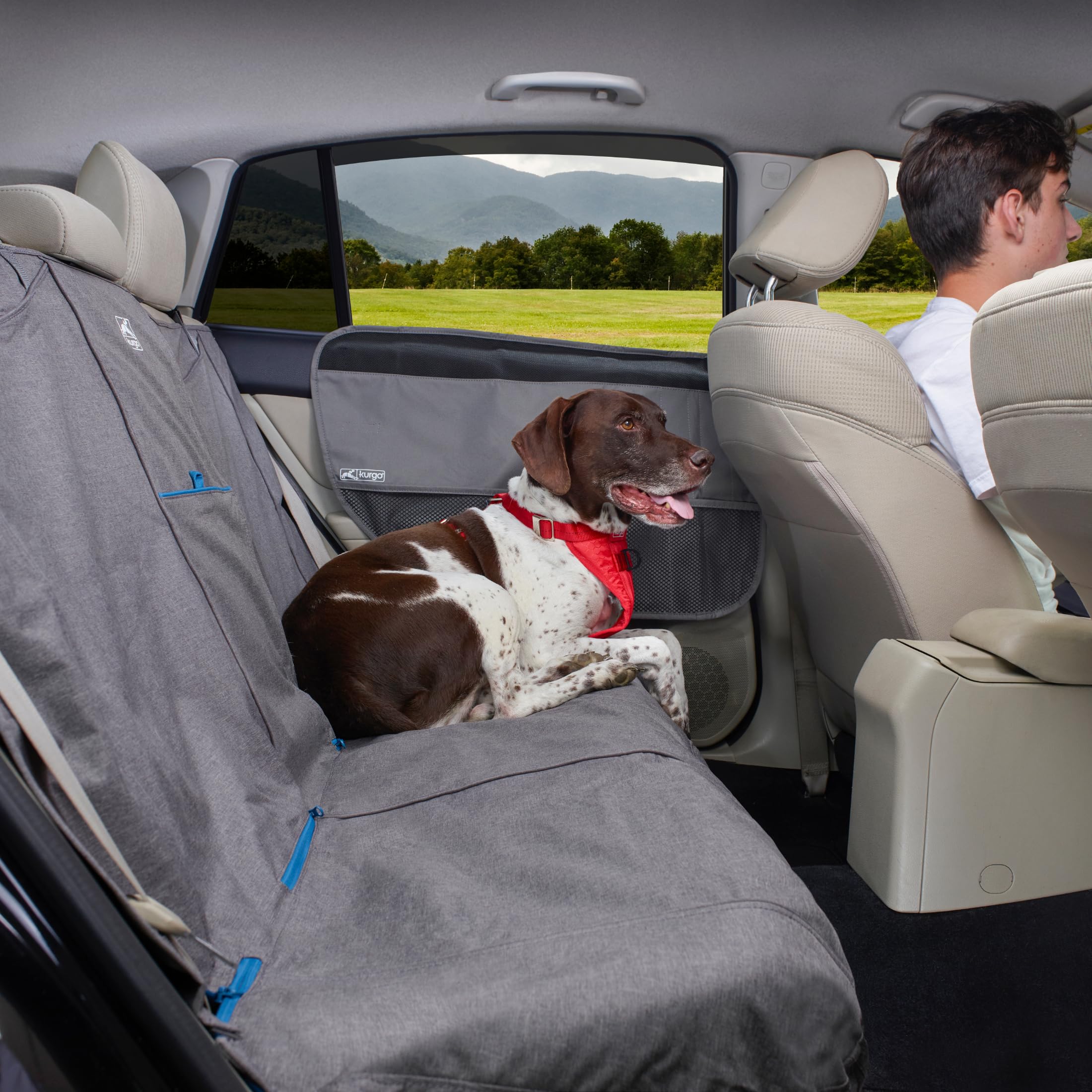 Kurgo Rover protection griffes durable pour voyages sans souci.