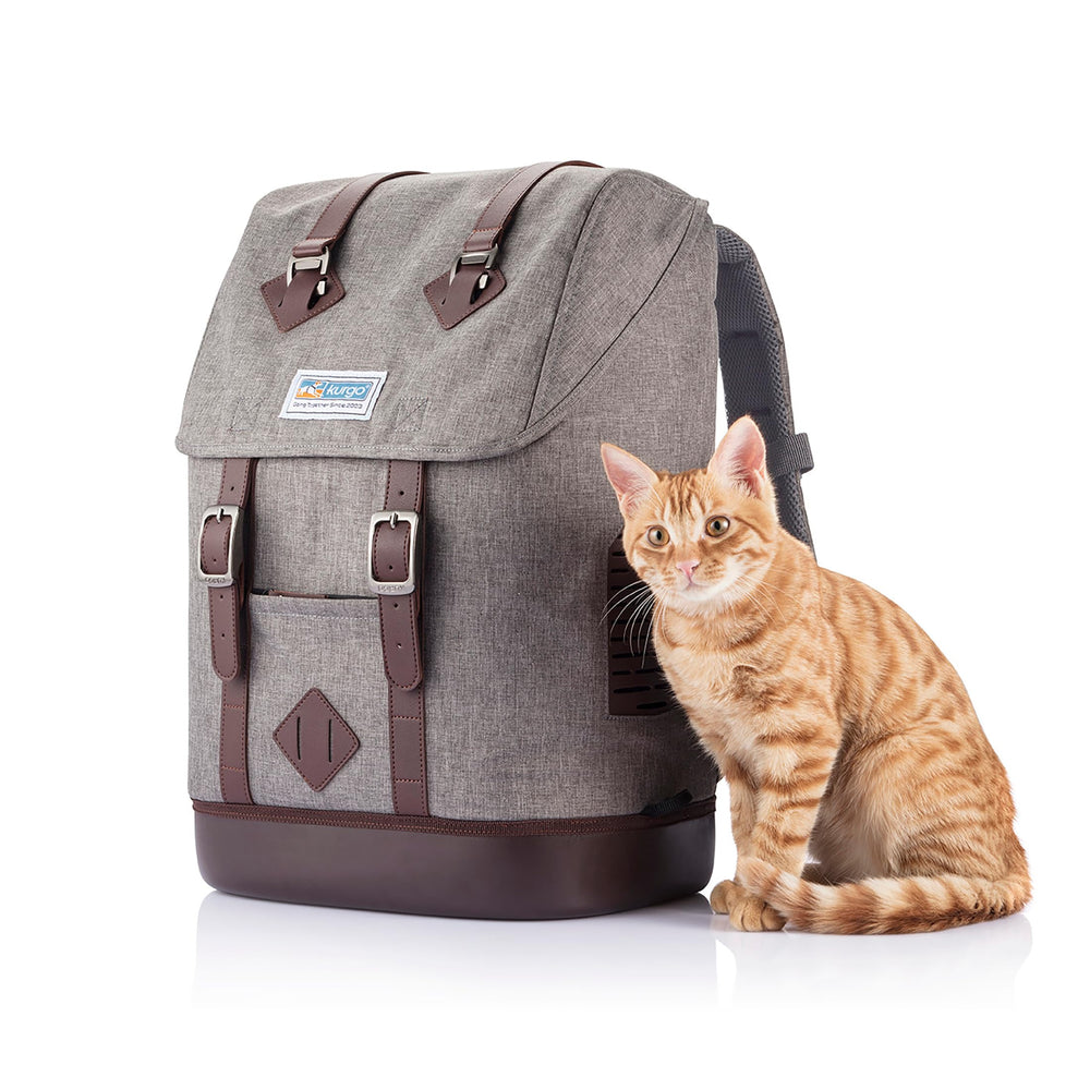 Kurgo-sac-dos-porteur-chiens-petits-ipad-ordinateur, organisation utile pour le travail.