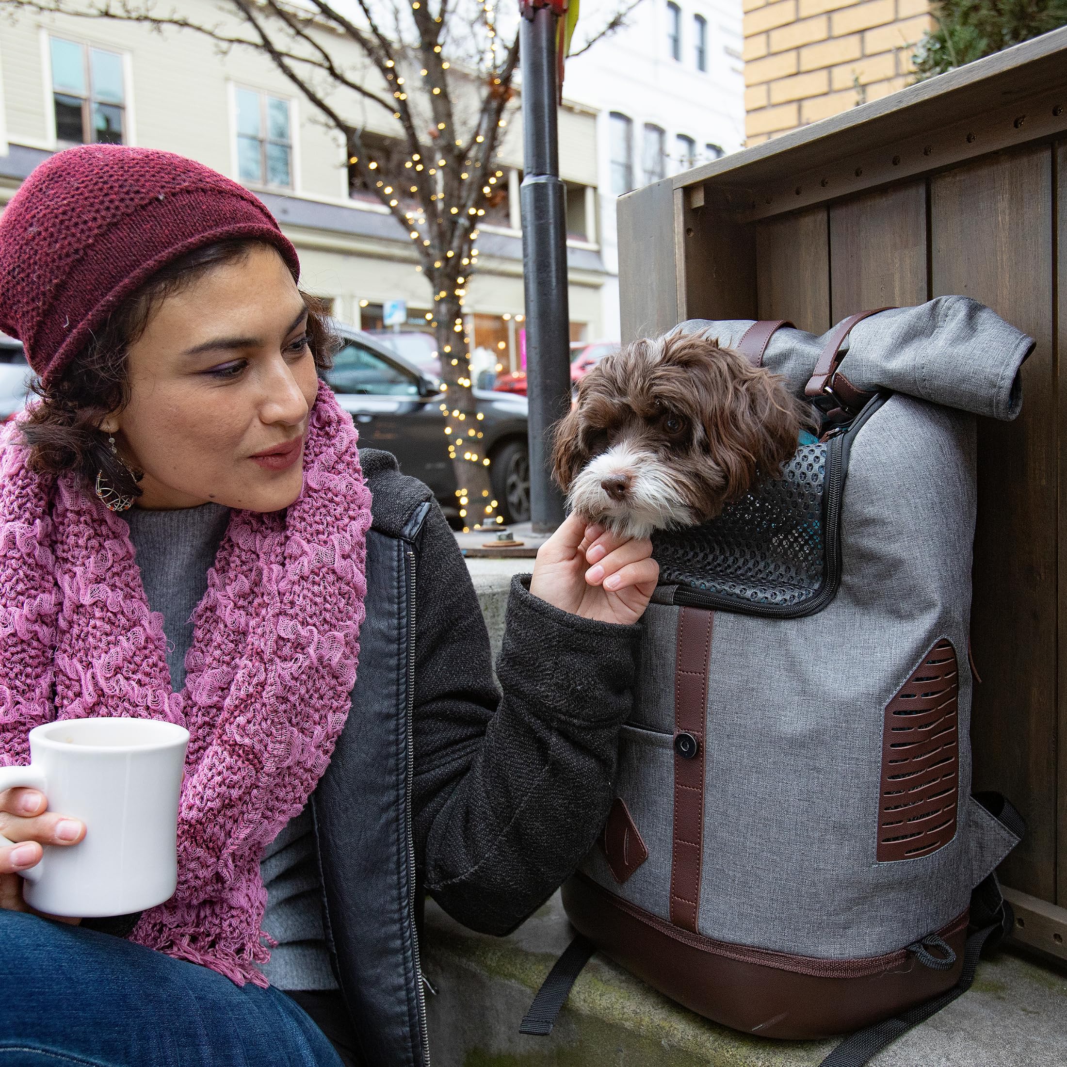 Kurgo-sac-dos-porteur-chiens-petits-roll-top-bouteille, porte-bouteille intégré pratique.