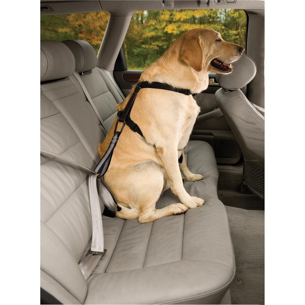 Kurgo Swivel Tether installation rapide avec boucle ceinture standard pour voiture