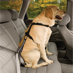 Kurgo Swivel Tether longe de 10 pouces offrant liberté contrôlée pour chien en voiture