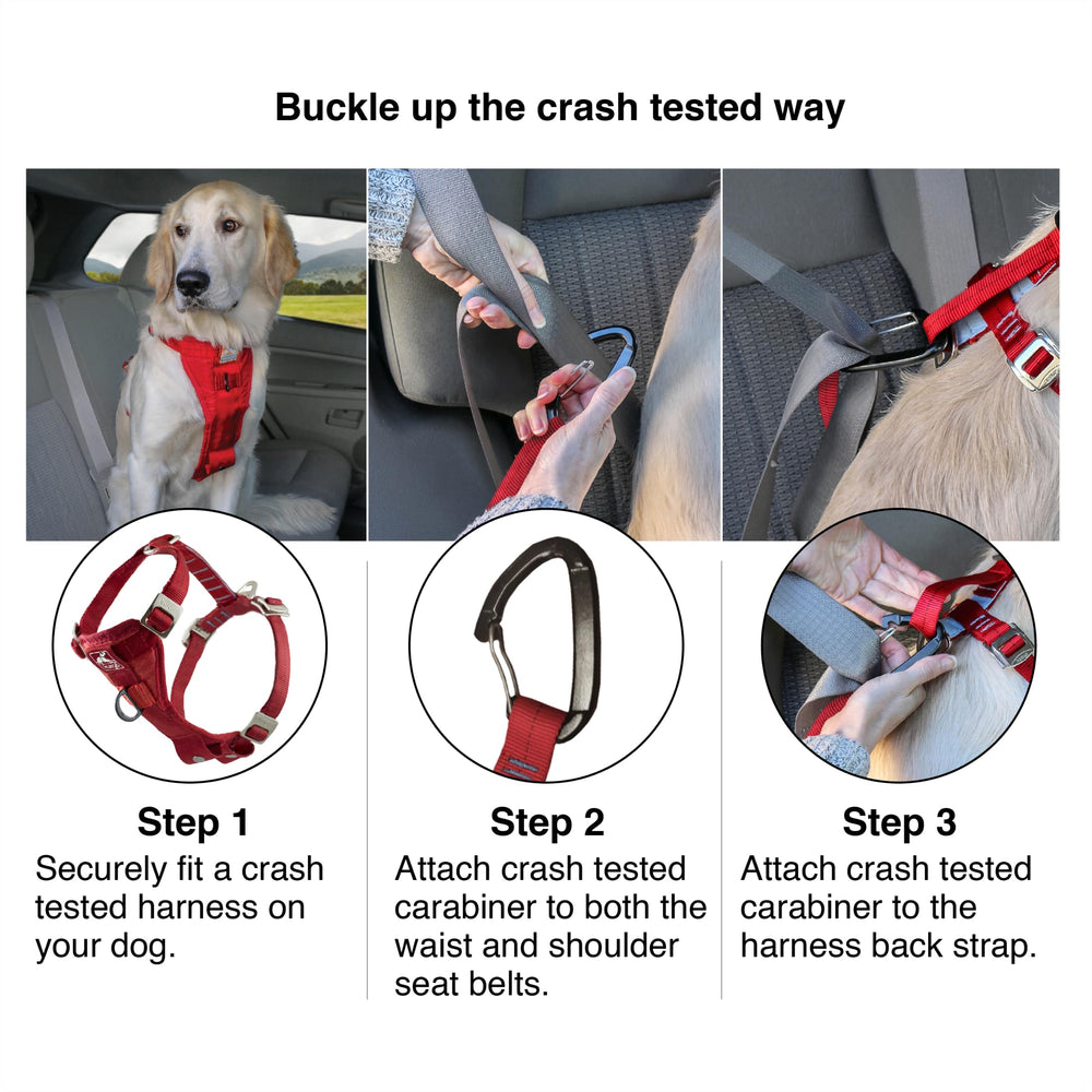 Kurgo tether-ceinture-voiture : attache rapide et sécurité lors des trajets.