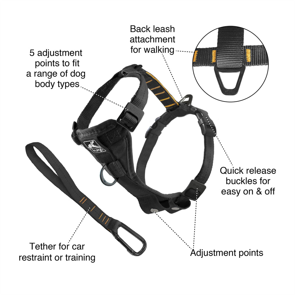 Attaches arrière du harnais Kurgo Tru-Fit, parfaites pour promenades polyvalentes et entraînement.