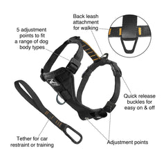 Attaches arrière du harnais Kurgo Tru-Fit, parfaites pour promenades polyvalentes et entraînement.