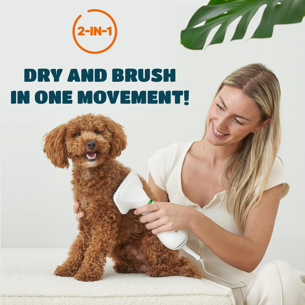 KUUBIA Sèche-poils compact pour petits chiens et chats, séchage rapide.