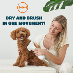KUUBIA Sèche-poils compact pour petits chiens et chats, séchage rapide.