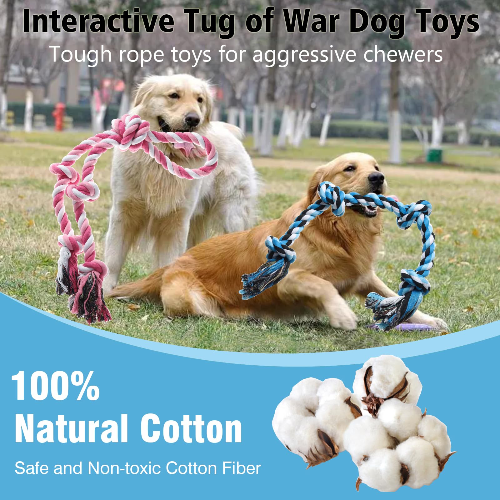 Kwispel-cadeau-chien-anniversaire-kwispel : idée cadeau parfaite pour chiens actifs.