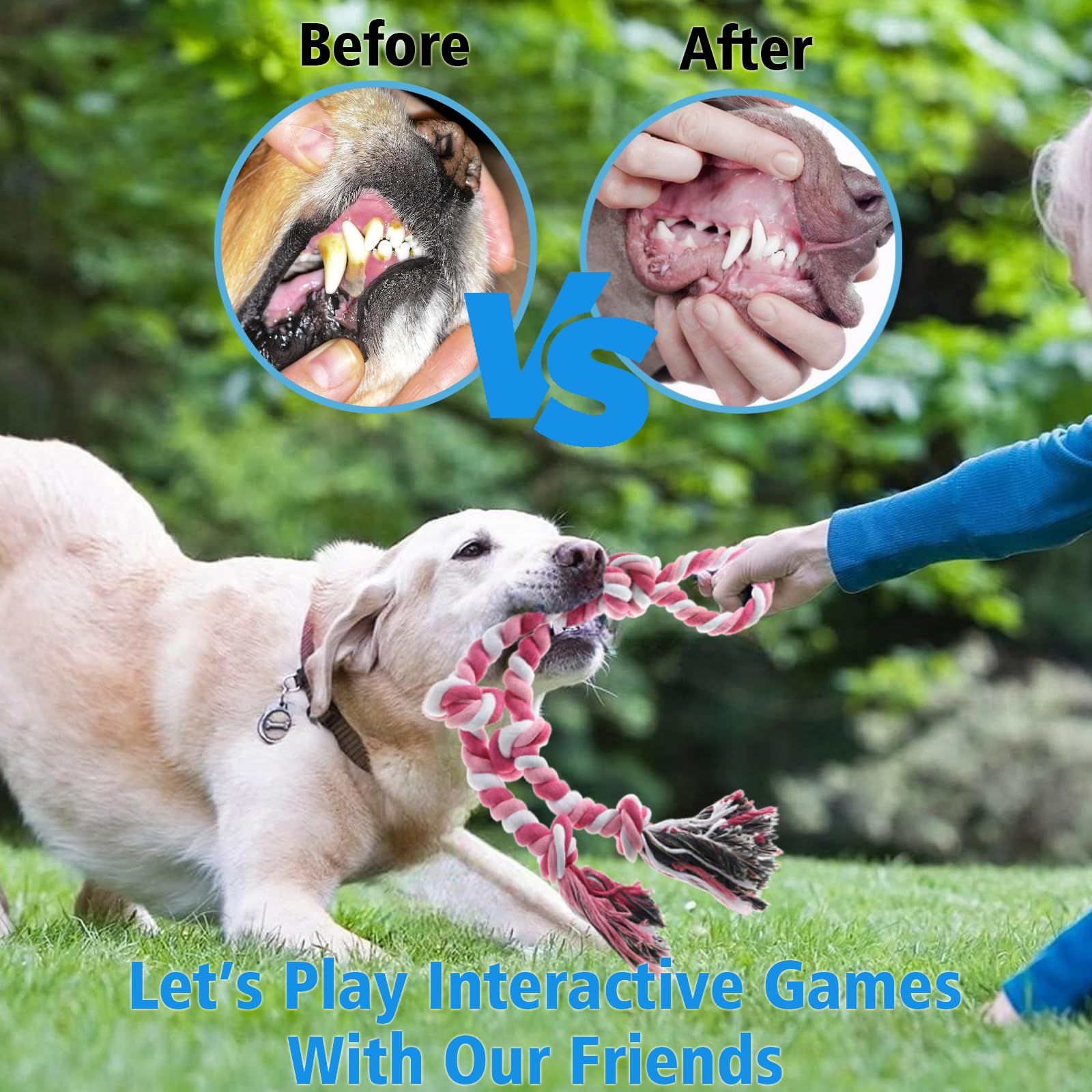 Kwispel-jouet-tug-interactif-chien : incite au tir à la corde et renforce le lien.
