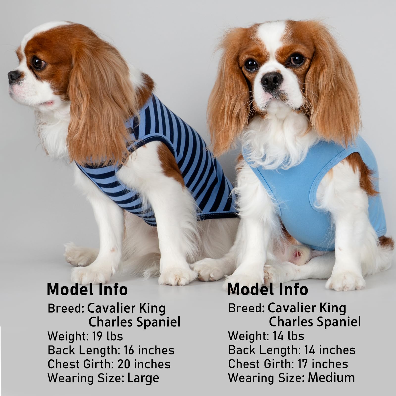 Guide taille XL KYEESE pour chiens moyens et ajustement facilité