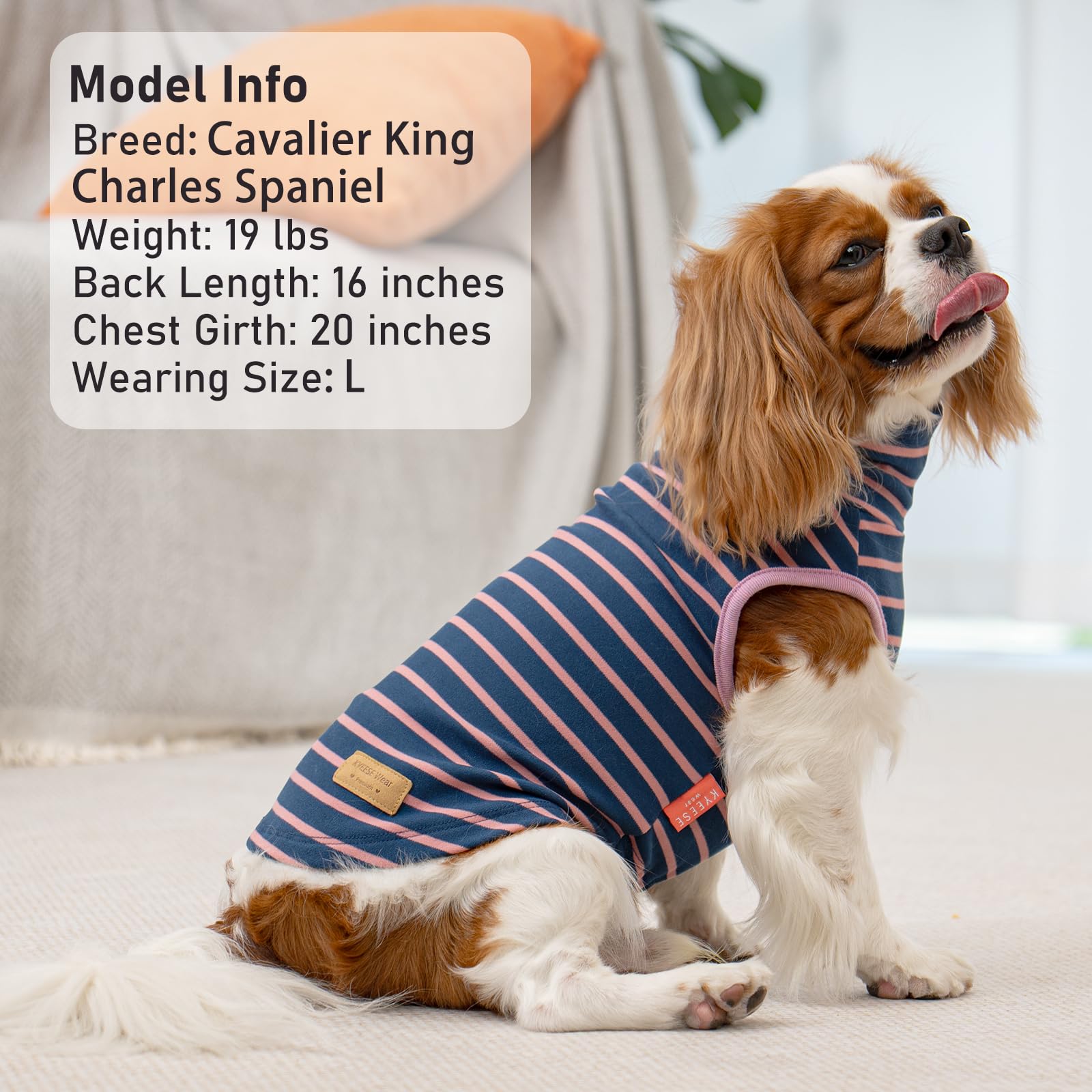 KYEESE ensemble deux modèles, deux styles pour varier les looks du chien.