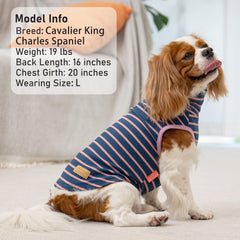 KYEESE ensemble deux modèles, deux styles pour varier les looks du chien.