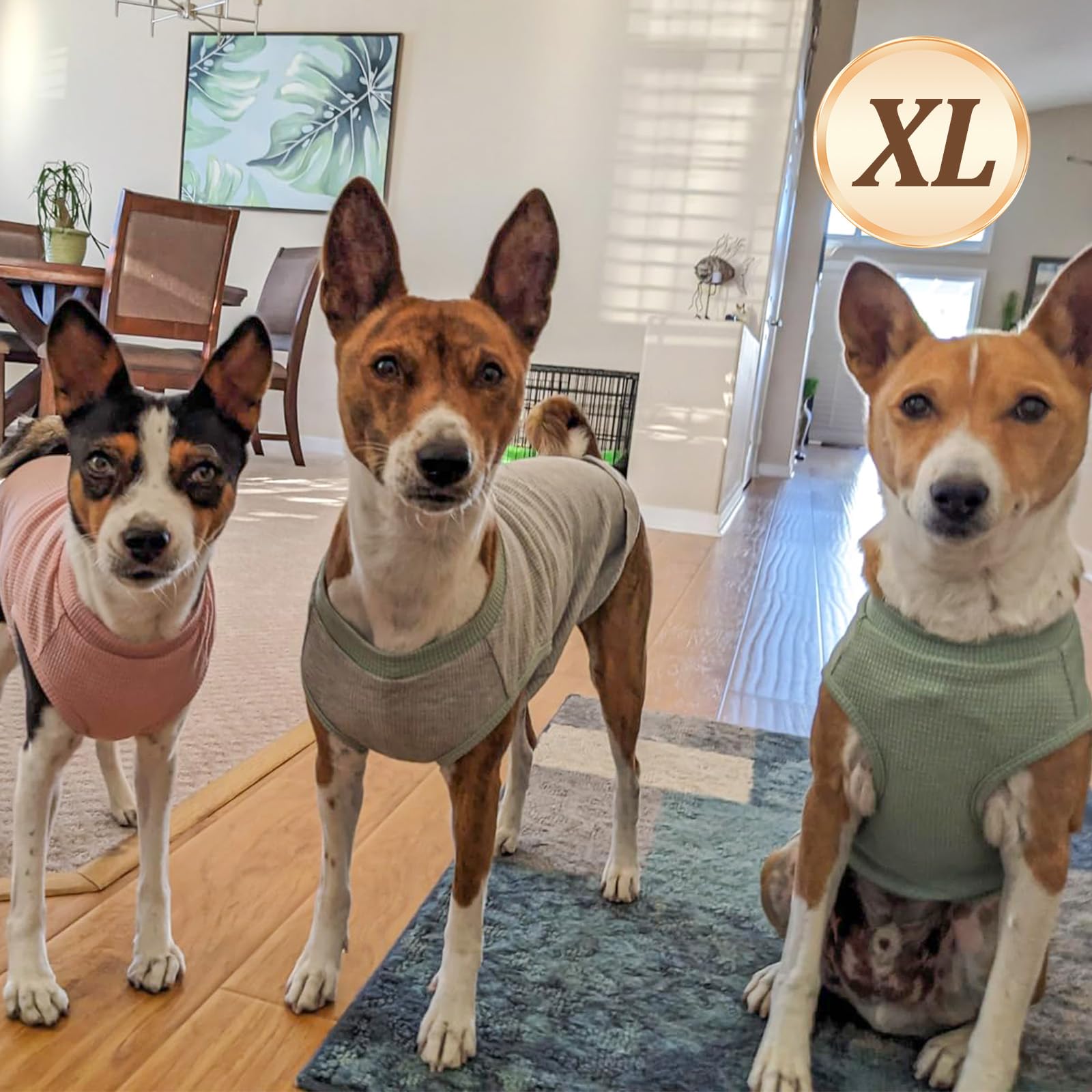KYEESE T-shirt chien maille gaufrée gros plan tissu doux et frais.
