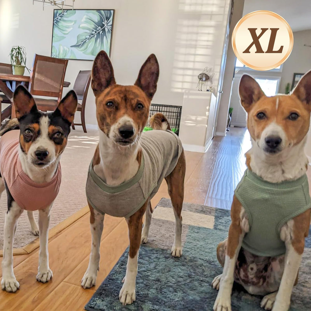 KYEESE T-shirt chien maille gaufrée gros plan tissu doux et frais.
