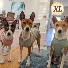 KYEESE T-shirt chien maille gaufrée gros plan tissu doux et frais.