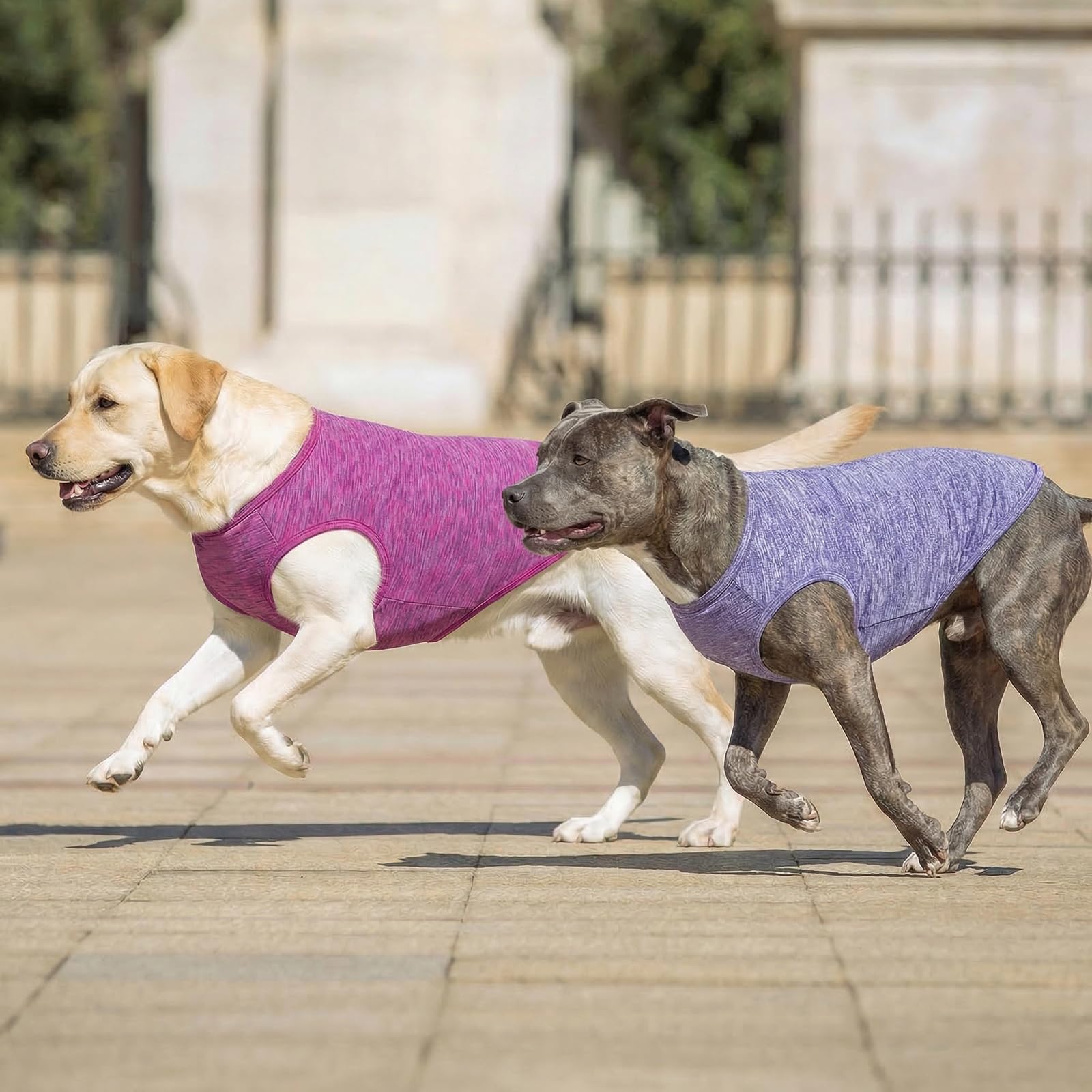 KYEESE couleurs vibrantes violet et rose pour des sorties quotidiennes.