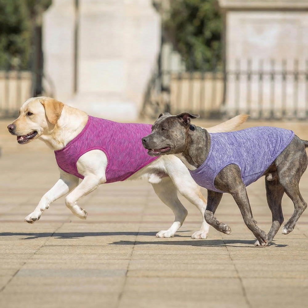 KYEESE couleurs vibrantes violet et rose pour des sorties quotidiennes.