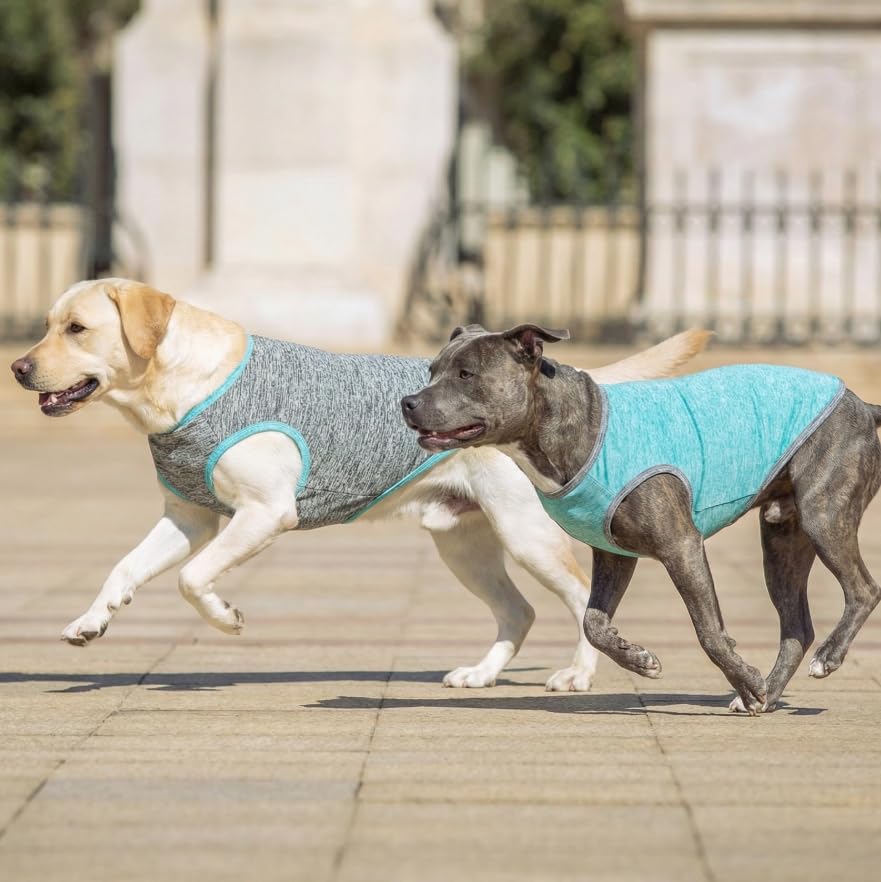 KYEESE vêtement canin flexible, liberté de mouvement pendant l'activité