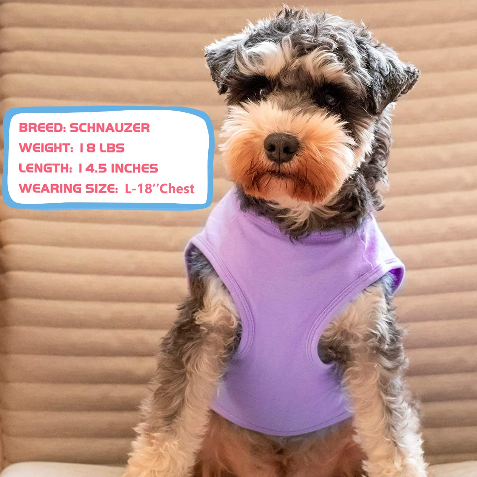 KYEESE guide tailles, trouvez la coupe adaptée aux petits chiens.