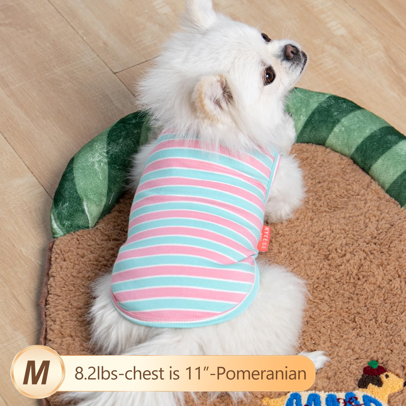 KYEESE-dog-shirt-utilisation-interieure-exterieure: confort intérieur et extérieur au quotidien.
