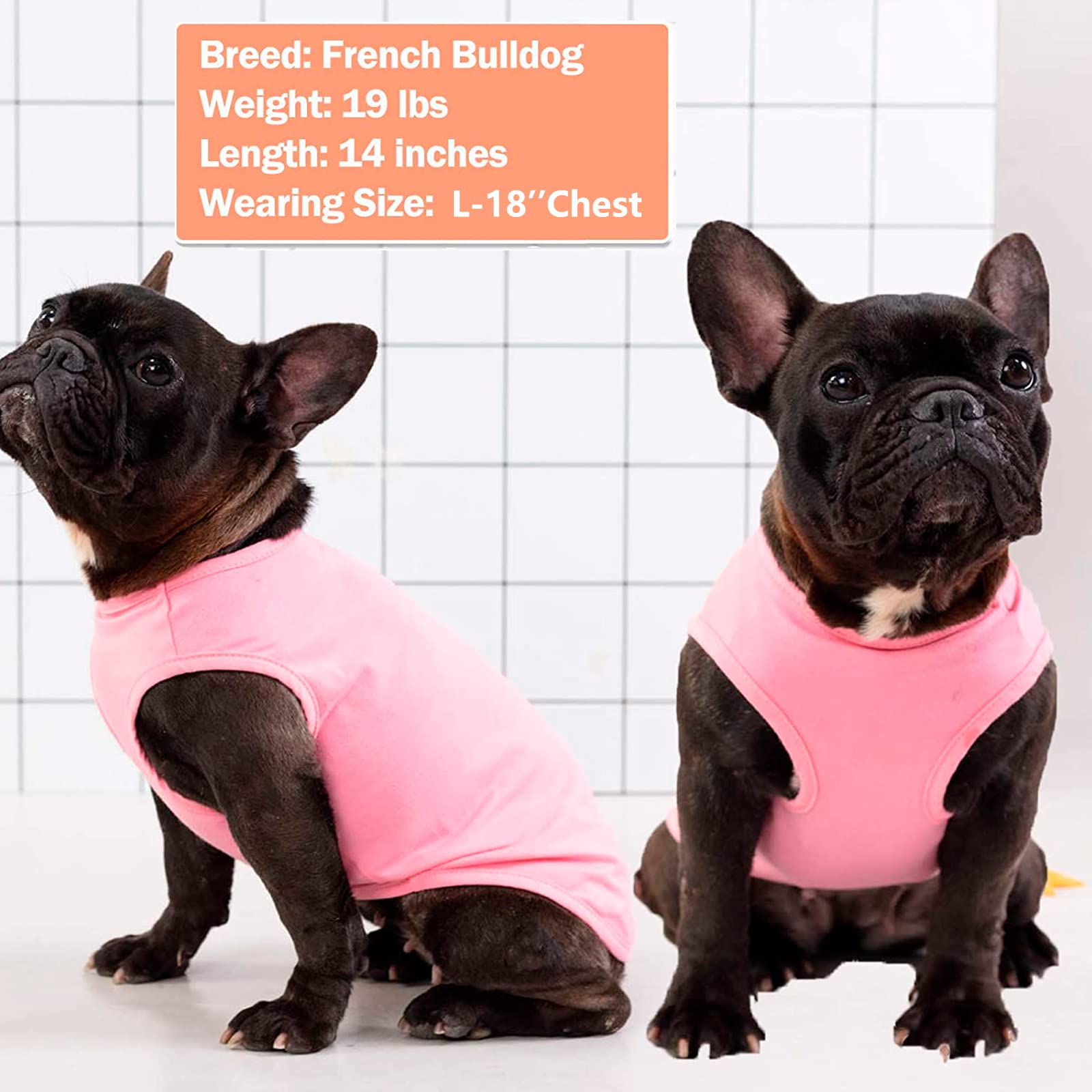 KYEESE-dog-shirt-visibilite-reflechissante: meilleure sécurité lors des sorties en soirée.