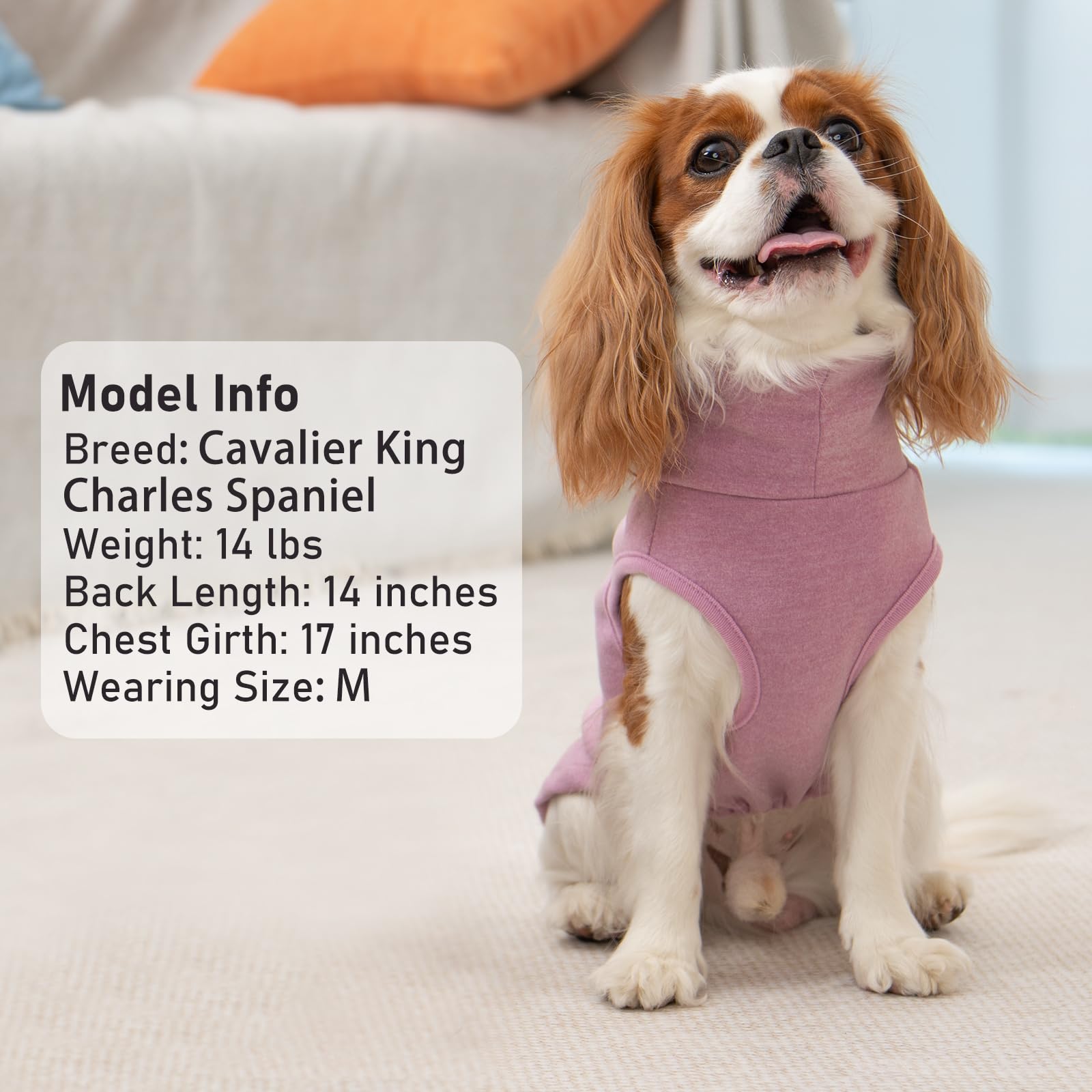 KYEESE gilet-chien-deux-pack, deux styles pratiques dans un seul pack.