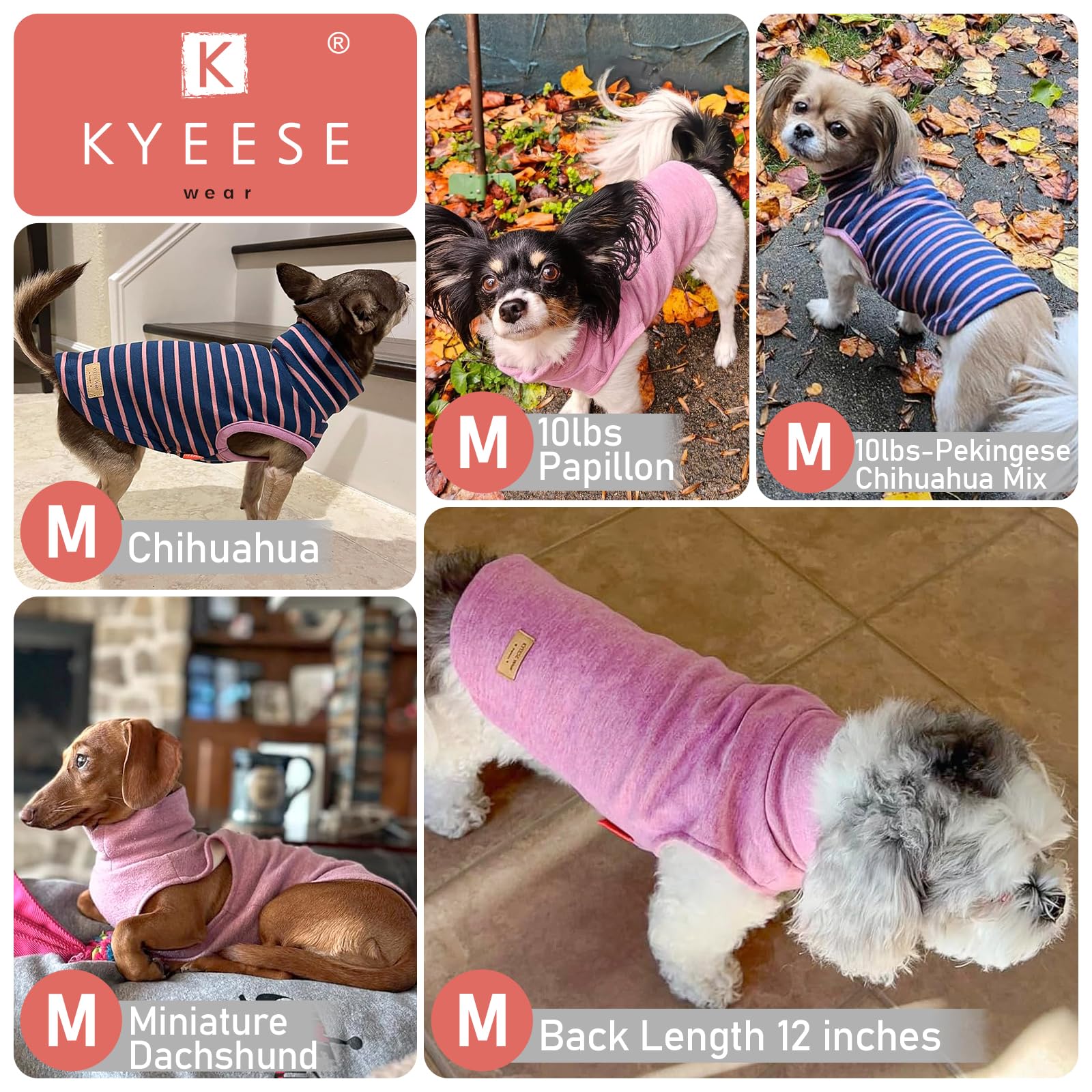 KYEESE gilet-chien-hiver-chic, look élégant et protection légère.