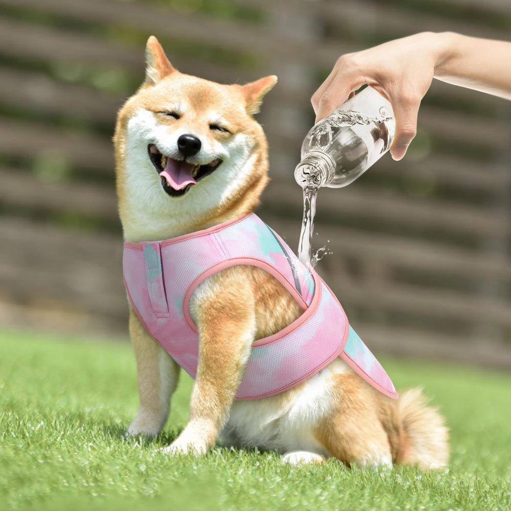 Gilet KYEESE en plein air pour chien, idéal lors des sorties chaudes.