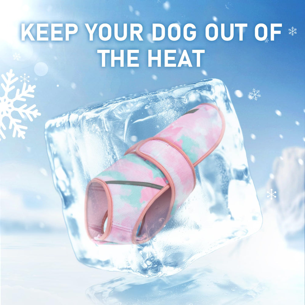 Protection solaire KYEESE, gilet pour chien, pour éviter les coups de soleil.
