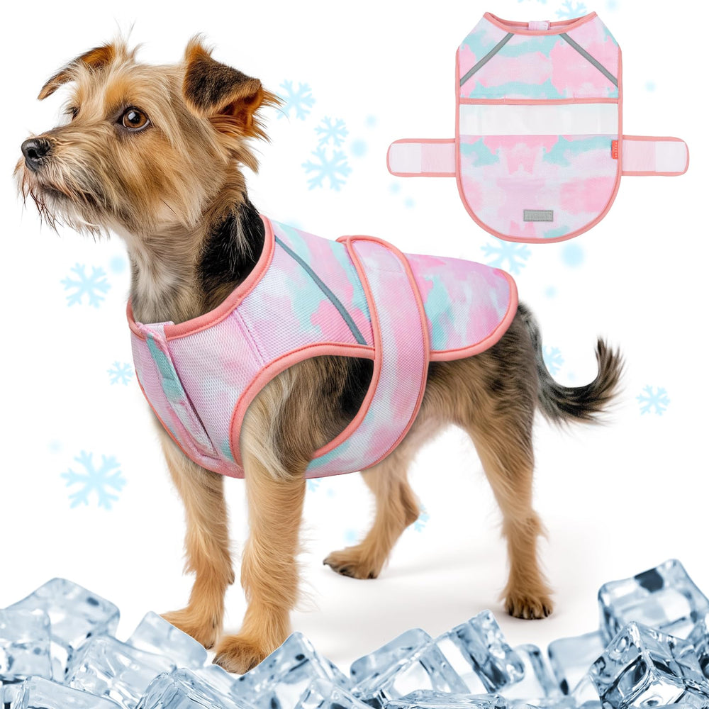 Le gilet refroidissant KYEESE pour chien en action, soulage rapidement la chaleur.