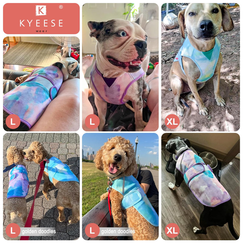 Taille XL KYEESE adaptée aux chiens moyens pour un meilleur ajustement.