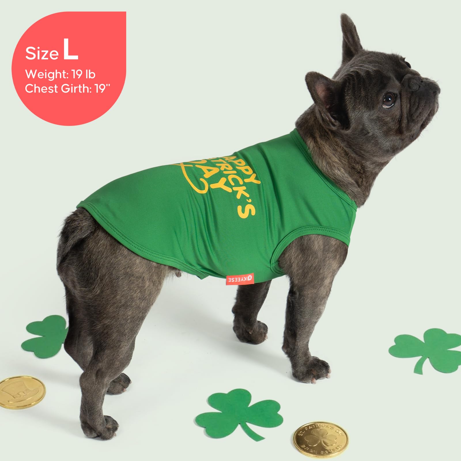 KYEESE guide des tailles chien M pour petites races.