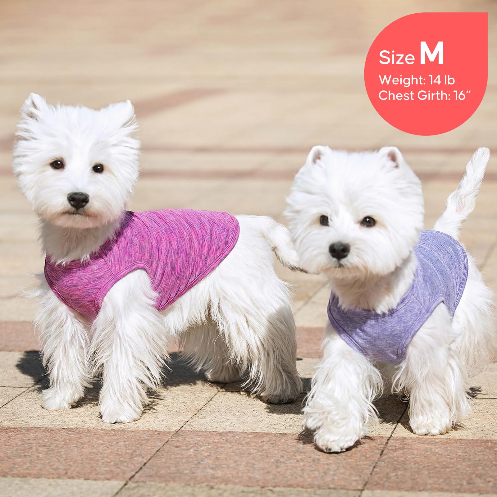 KYEESE guide tailles L, choisir la coupe adaptée pour votre chien.