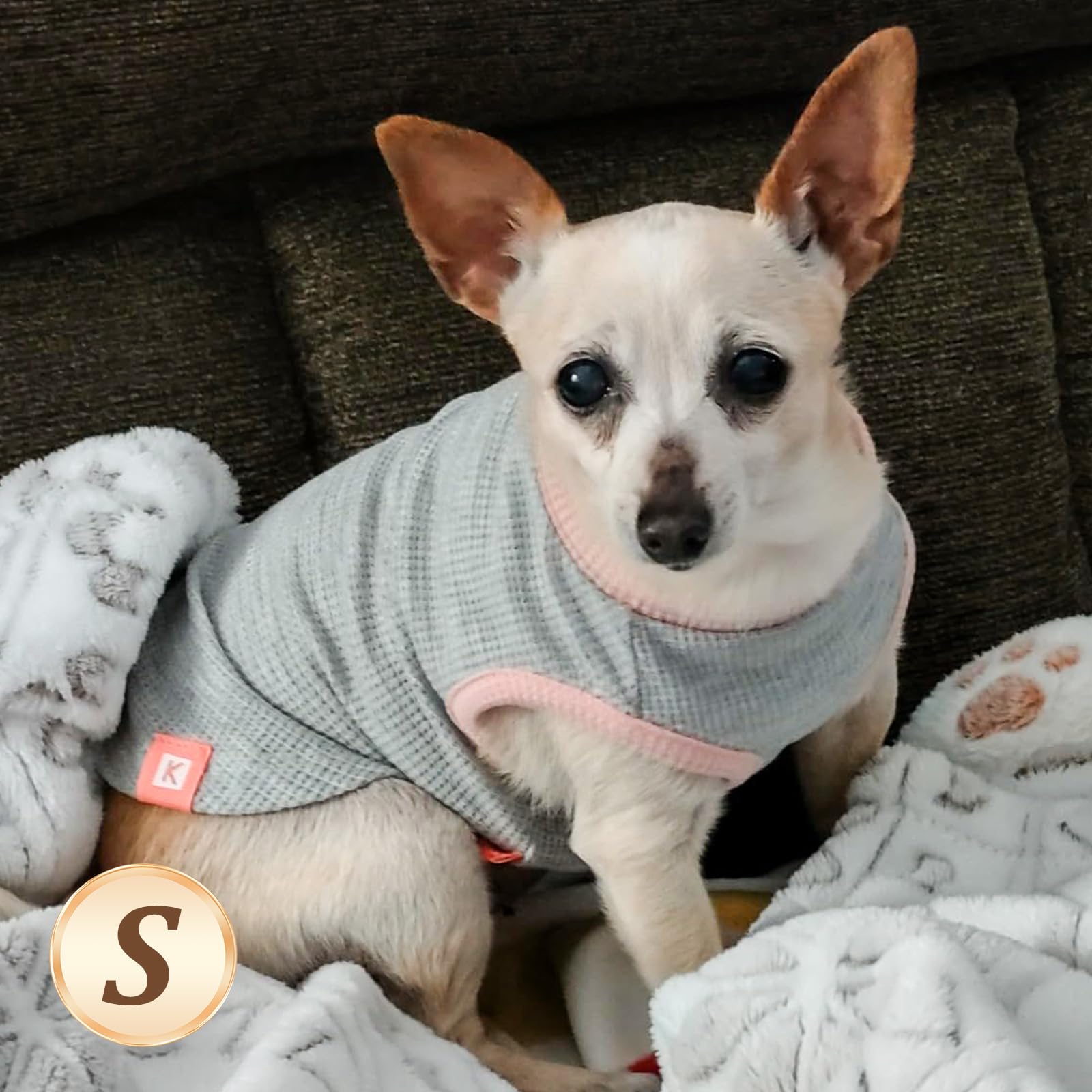 Haut sans manches KYEESE pour petit chien, léger et respirant.
