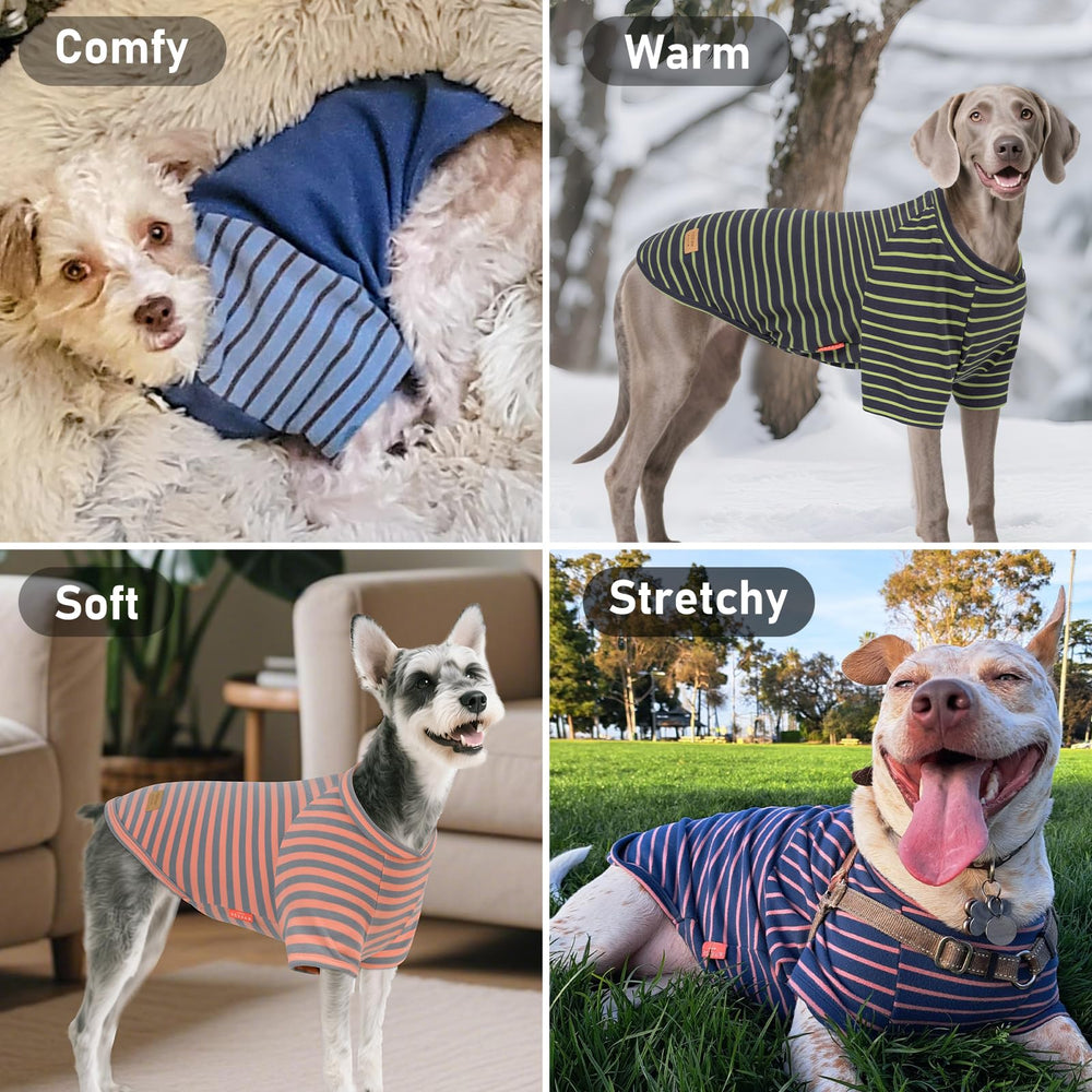 KYEESE pull-chien col uni, douceur et mobilité.