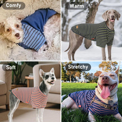 KYEESE pull-chien col uni, douceur et mobilité.