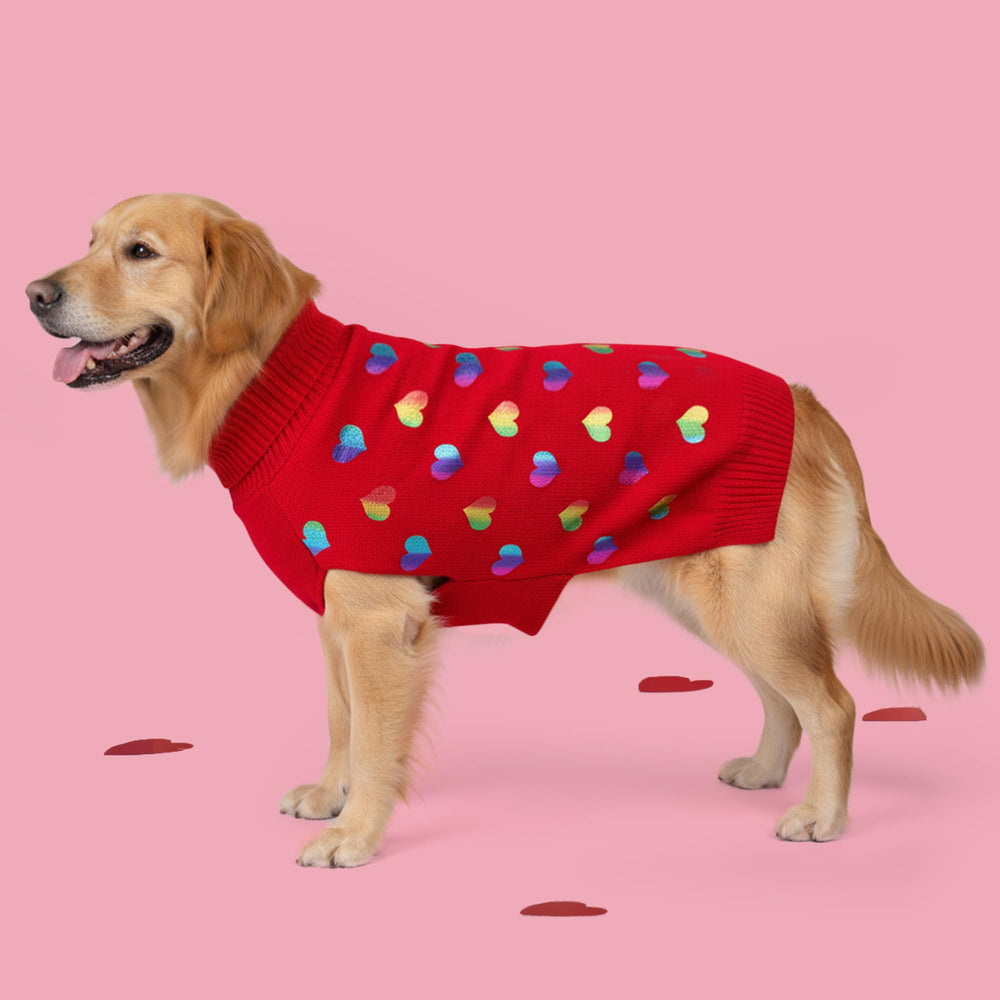 KYEESE pull-chien entretien facile, lavage en machine après usage.