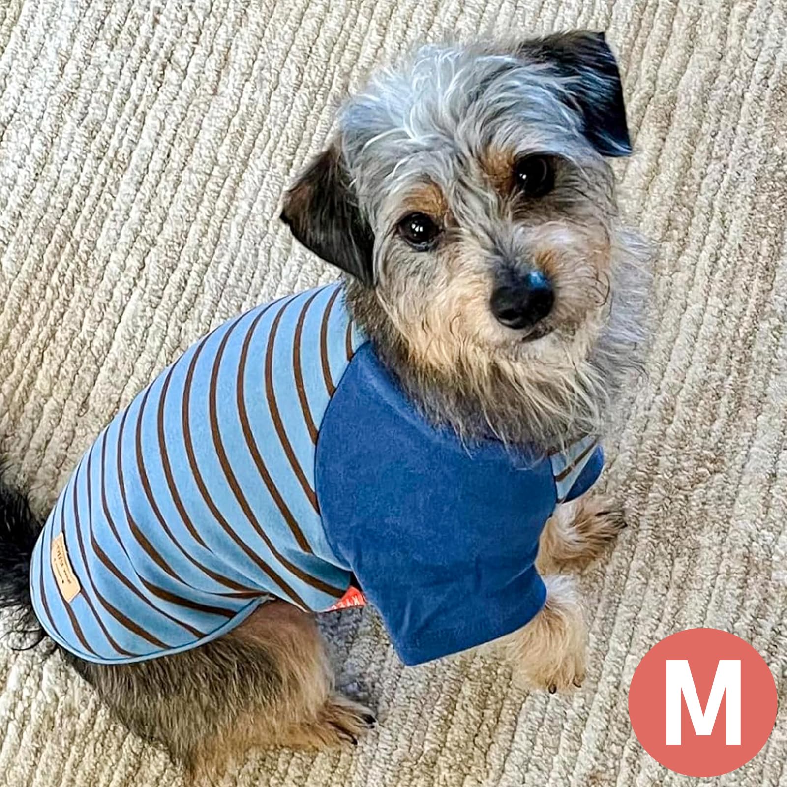 KYEESE pull-chien lavage en machine, entretien pratique.