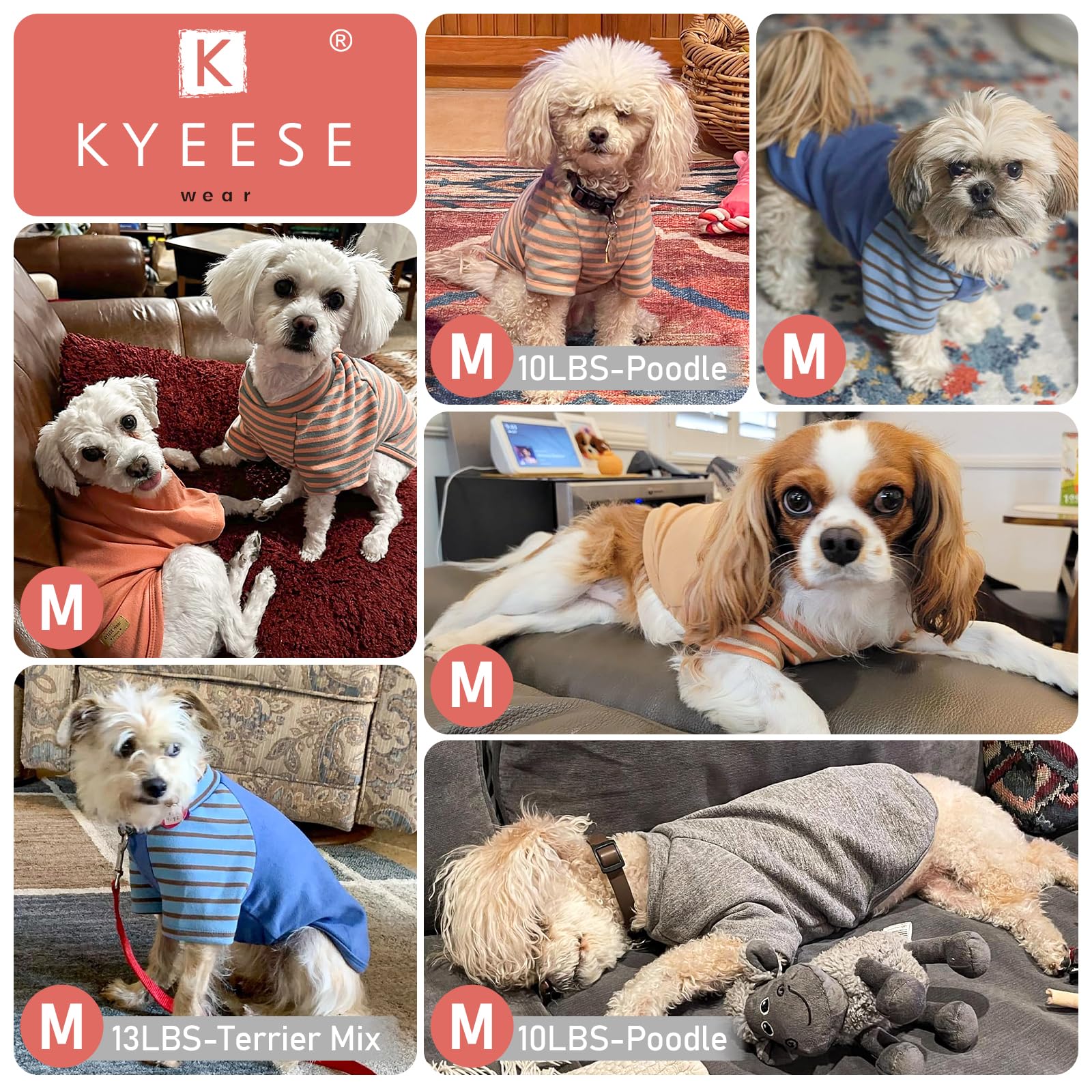 KYEESE pull-chien manches, protection confortable pour mouvements.