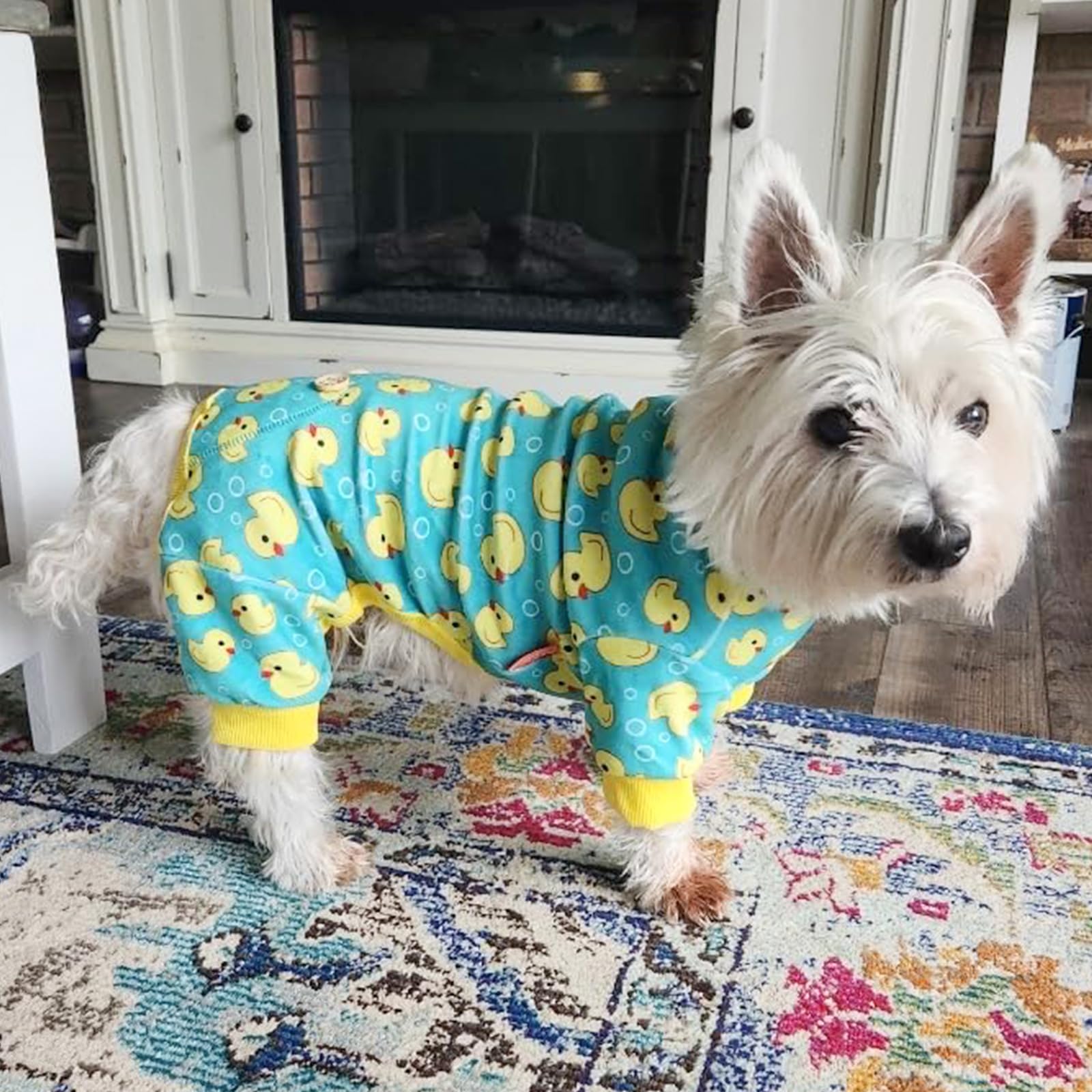 Pyjama KYEESE pull-over pour chien, enfiler facilement.