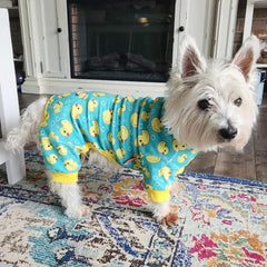 Pyjama KYEESE pull-over pour chien, enfiler facilement.