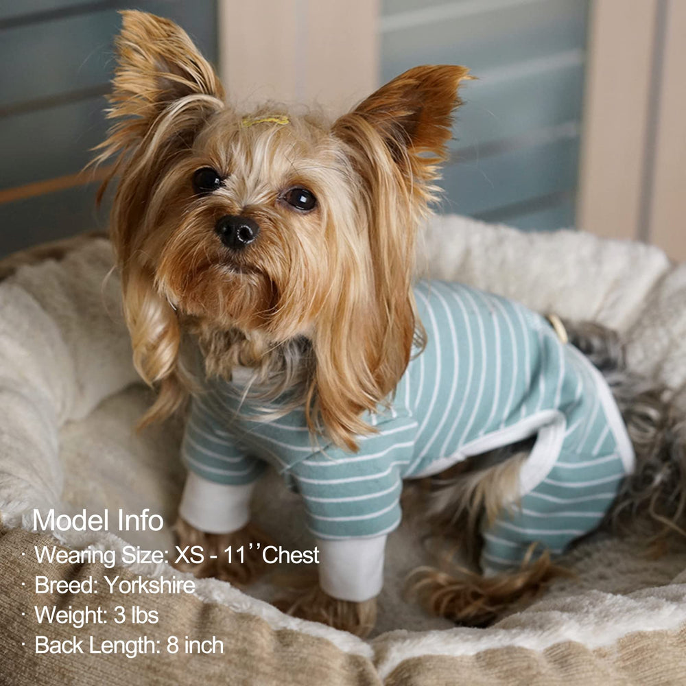 Guide des tailles KYEESE: choisissez M pour petits chiens comme Shih Tzu.