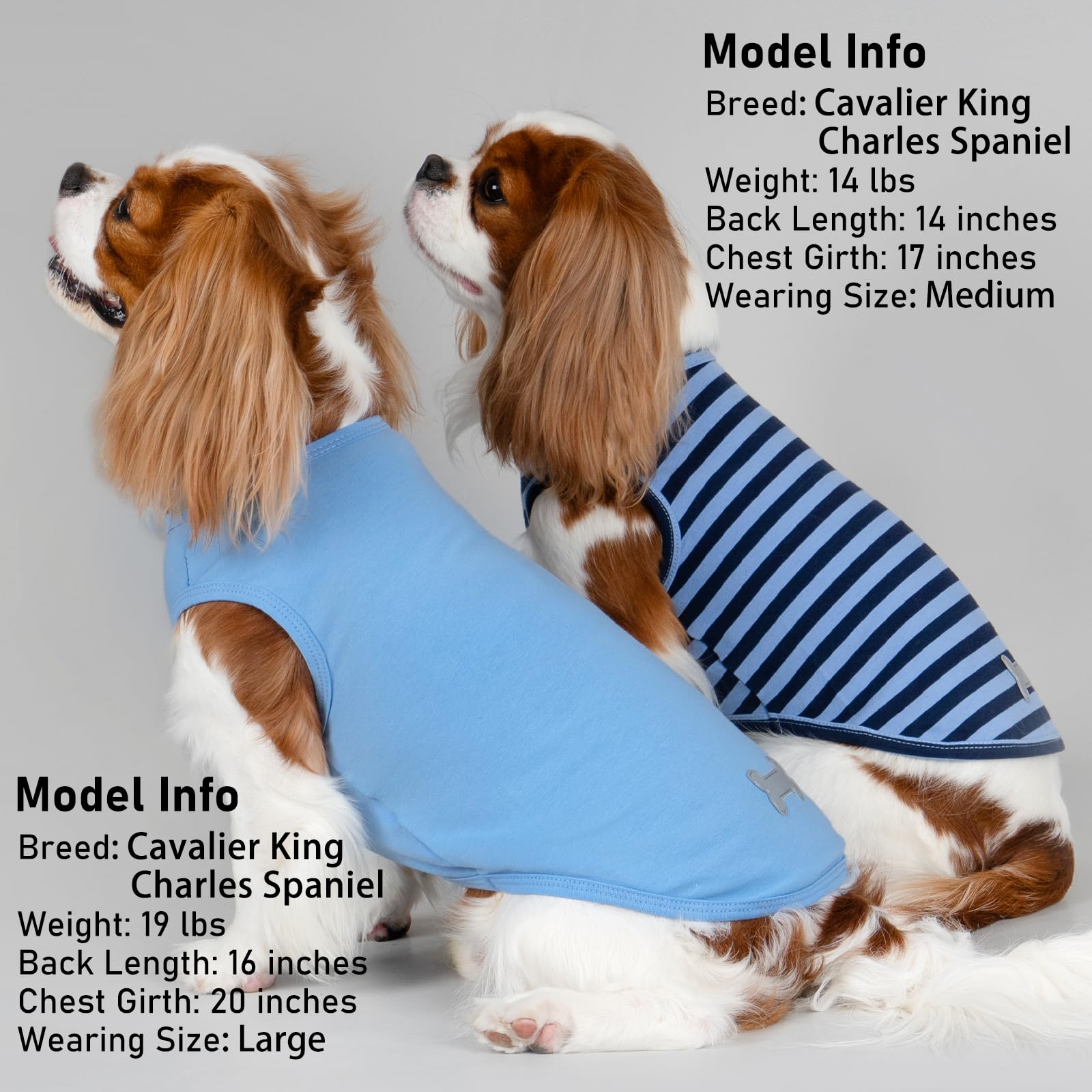 KYEESE taille M adaptée pour petits chiens