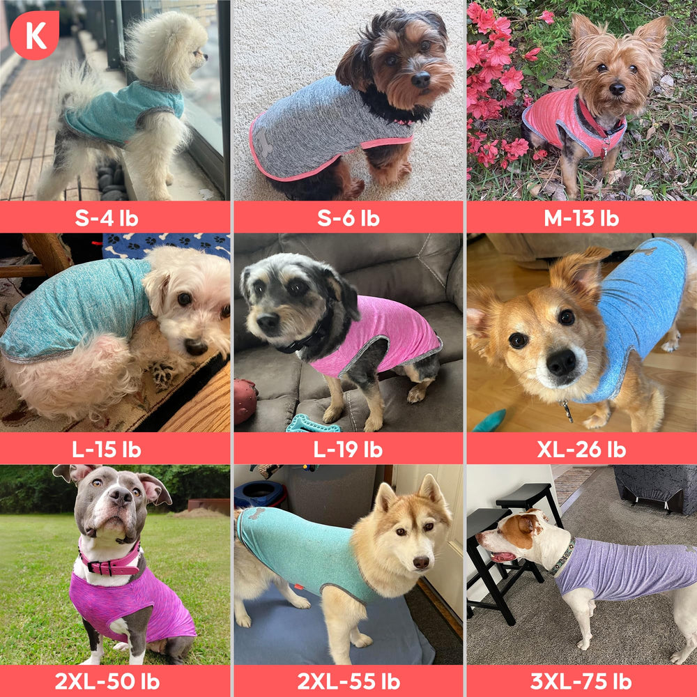 KYEESE tee-shirt chien couleurs vives, facile à repérer pendant les sorties.